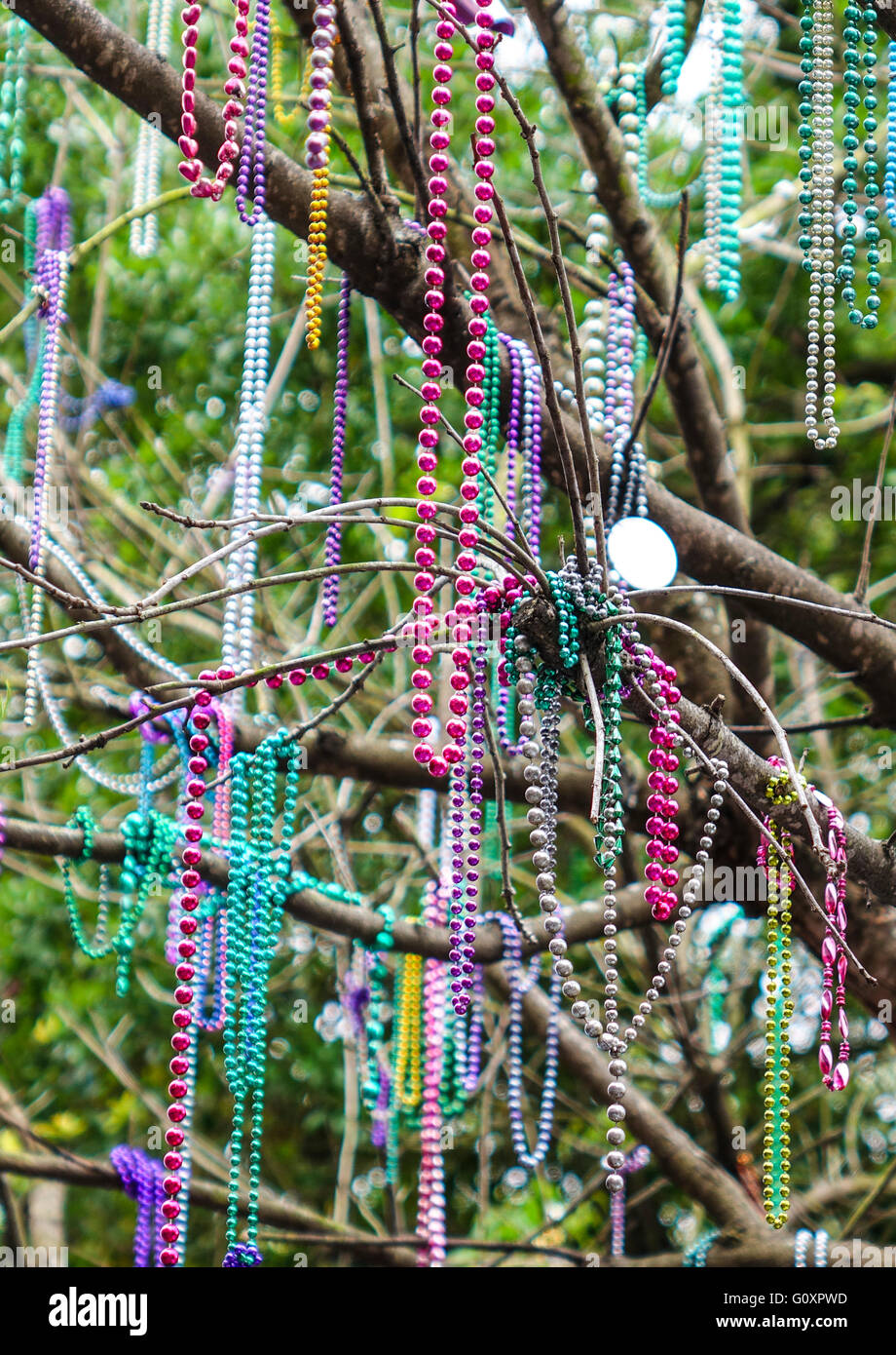 Bunte Ketten hängen in den Bäumen von New Orleans Stockfotografie - Alamy
