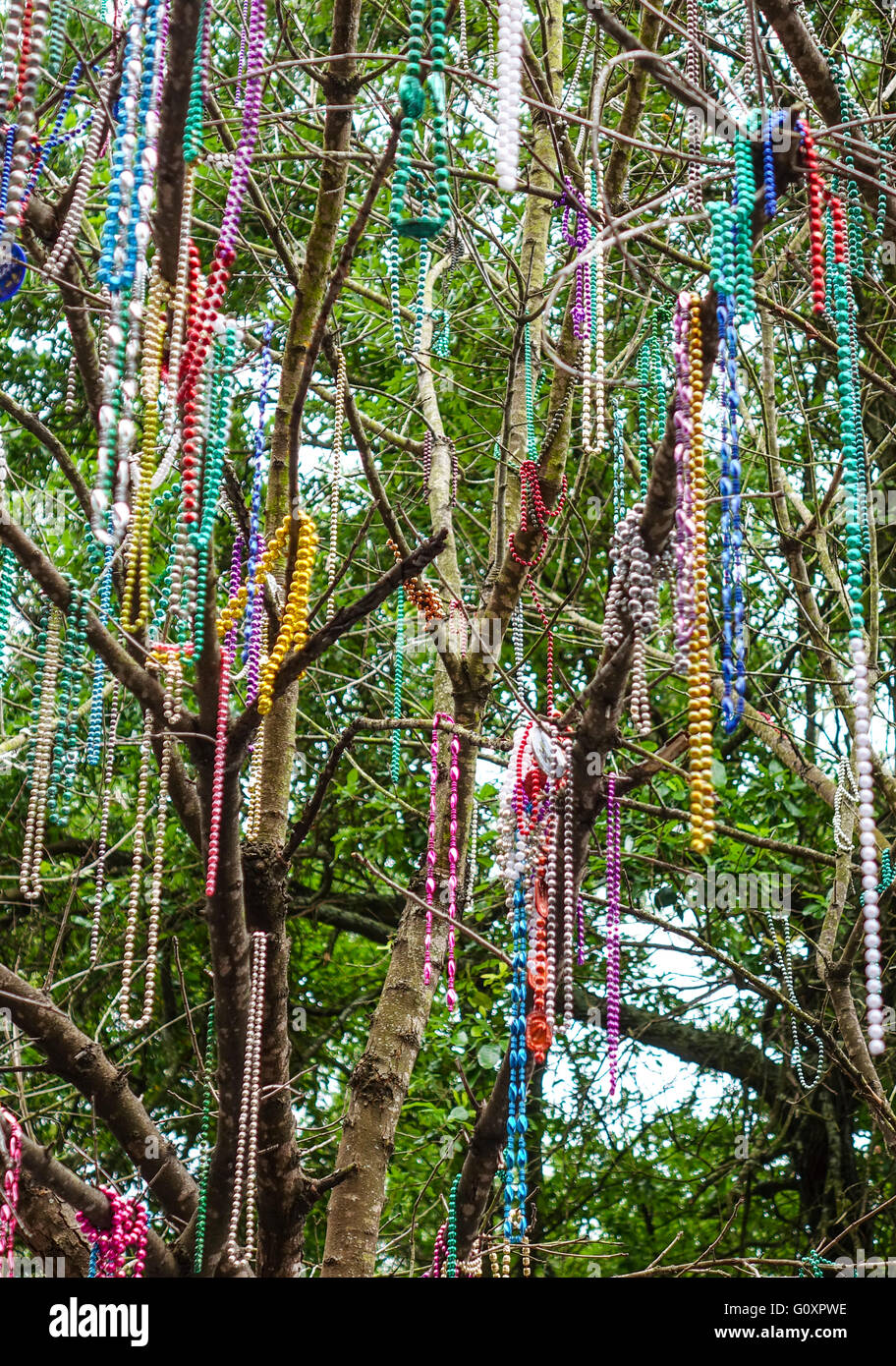 Bunte Ketten hängen in den Bäumen von New Orleans Stockfotografie - Alamy