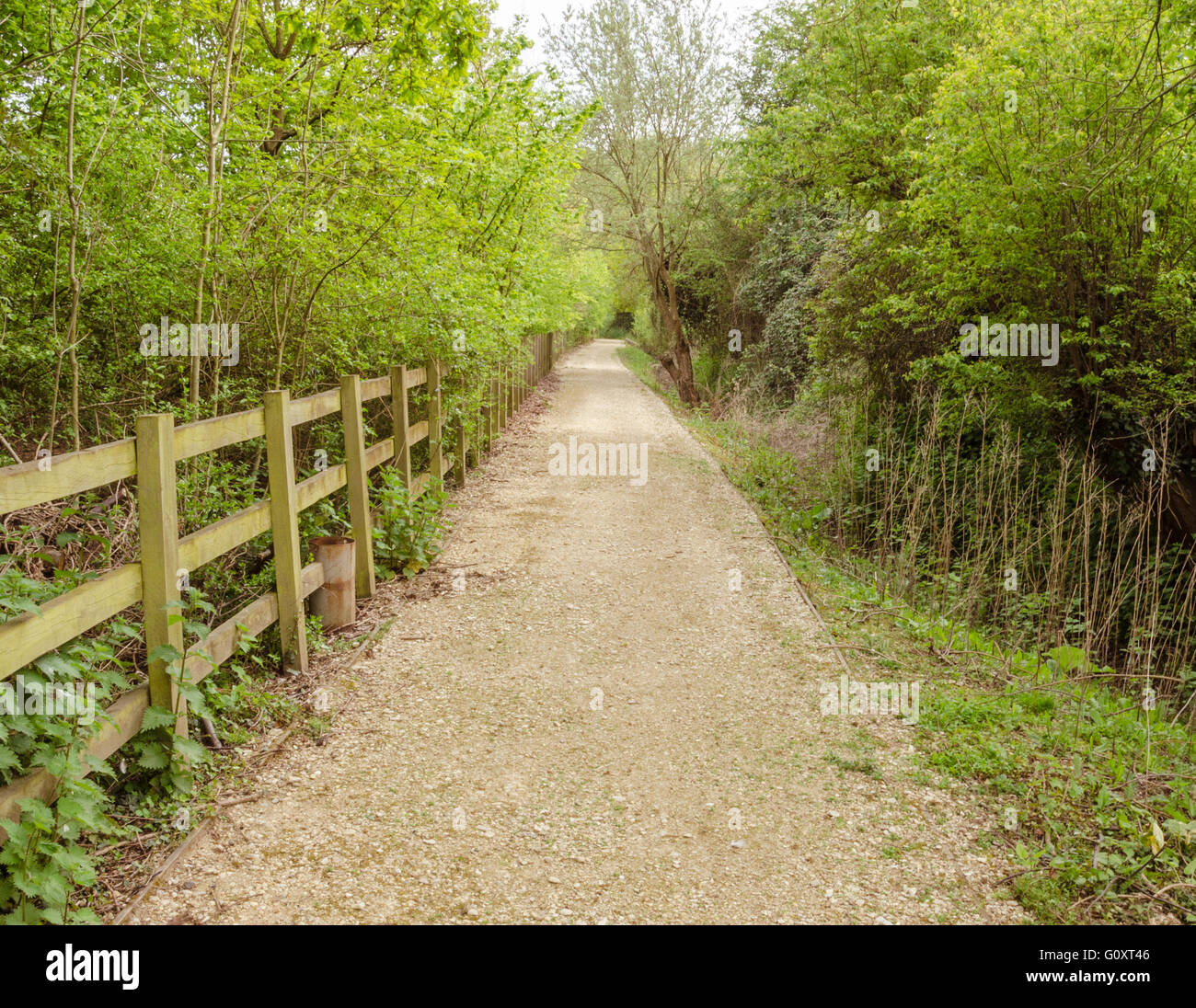 Ein öffentlicher Fußweg durch die Mitte des Green Park in Reading. Einem öffentlichen Weg, der Pfad durchläuft Grünflächen. Stockfoto