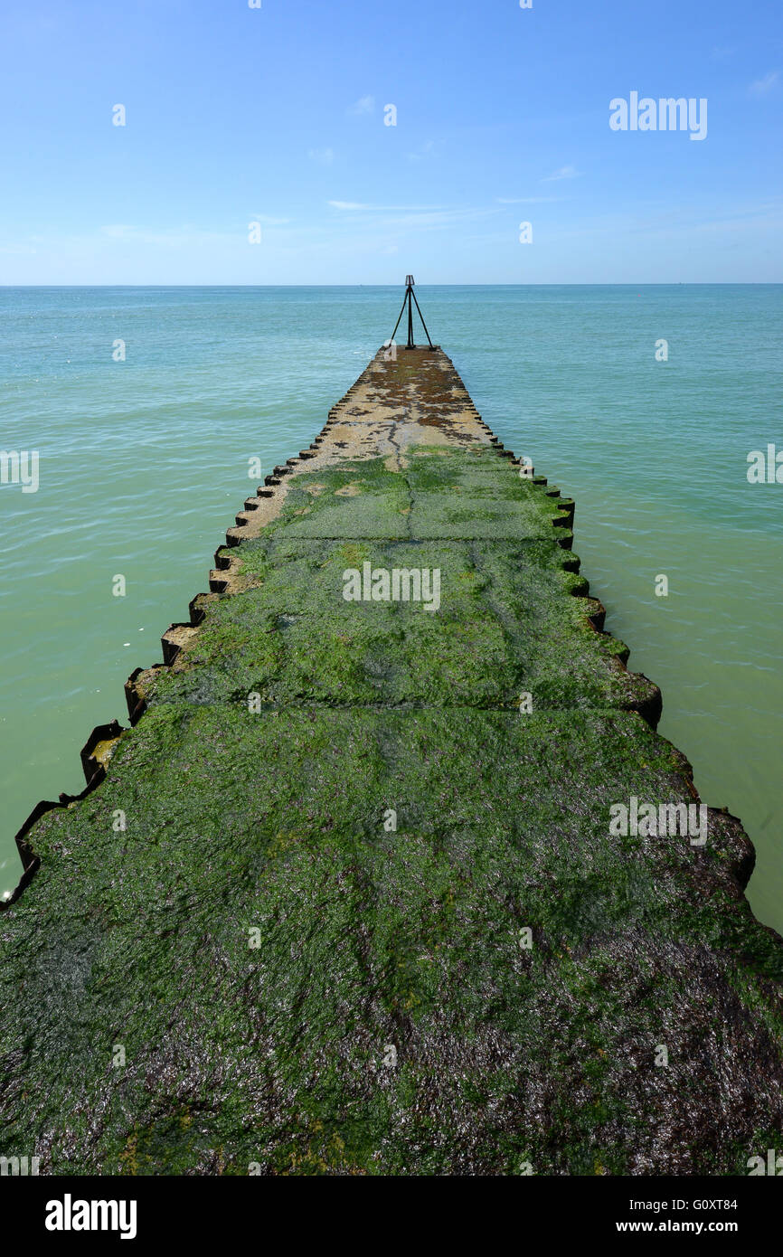 Seetang bedeckt Pier/Pier, Seaford, UK Stockfoto