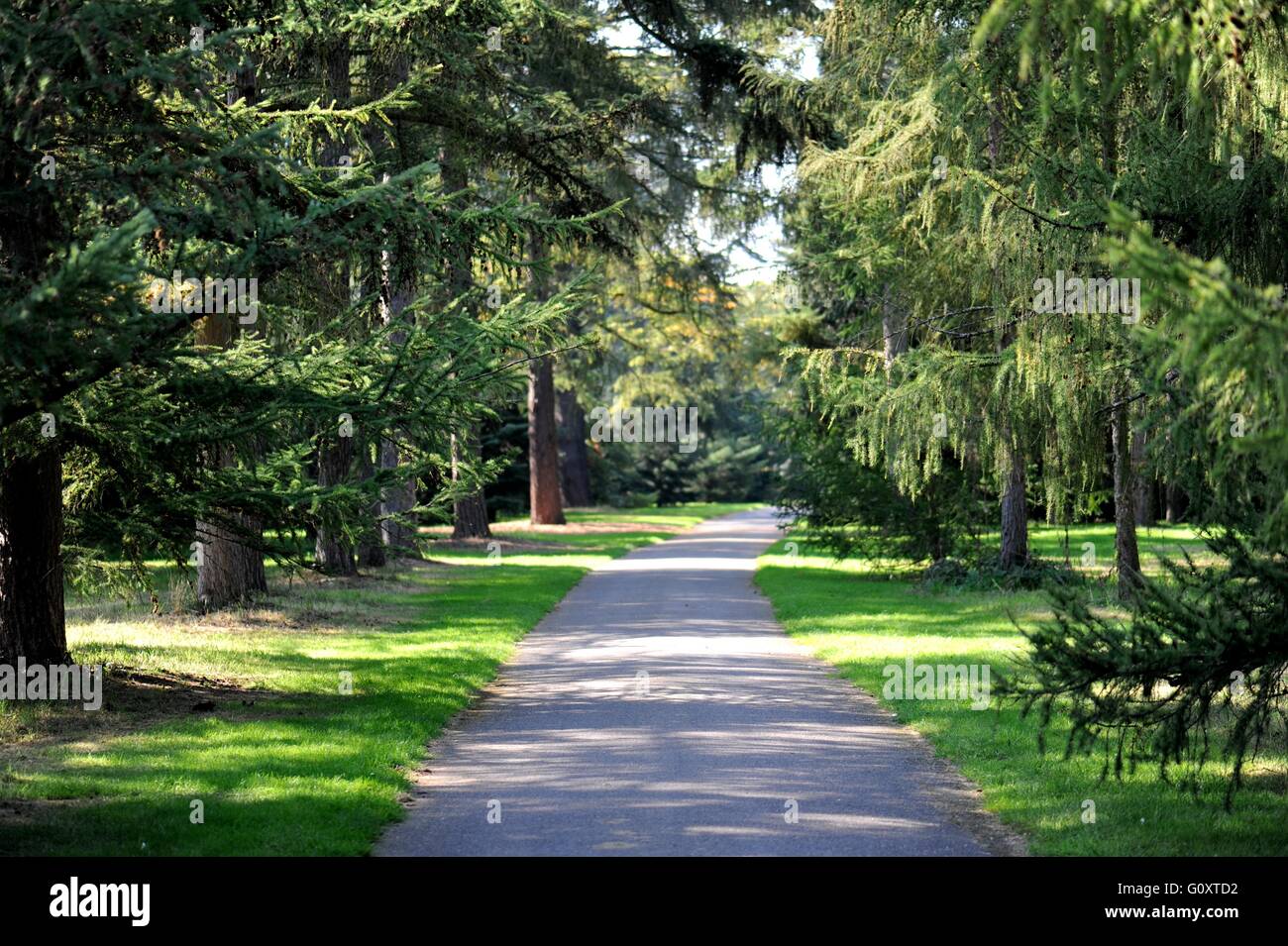 Weg in Kew Gardens Stockfoto