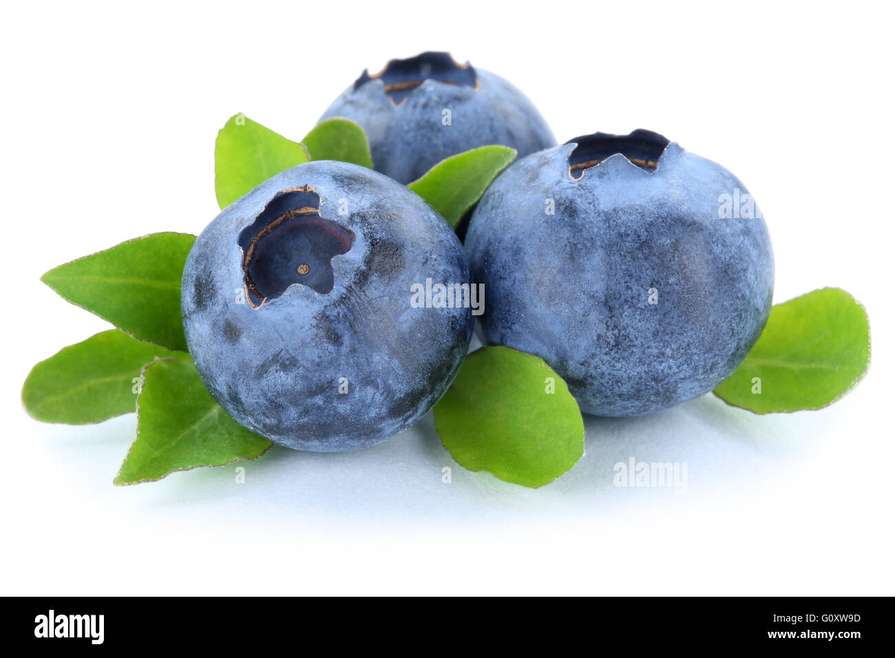 Heidelbeeren-Blaubeeren-Beere Beeren Früchten isoliert auf weißem Hintergrund Stockfoto