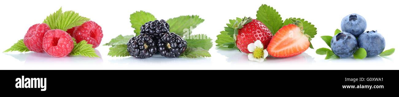 Sammlung von Beeren Erdbeeren Heidelbeeren Himbeeren Beeren Früchte in einer Reihe auf einem weißen Hintergrund isoliert Stockfoto