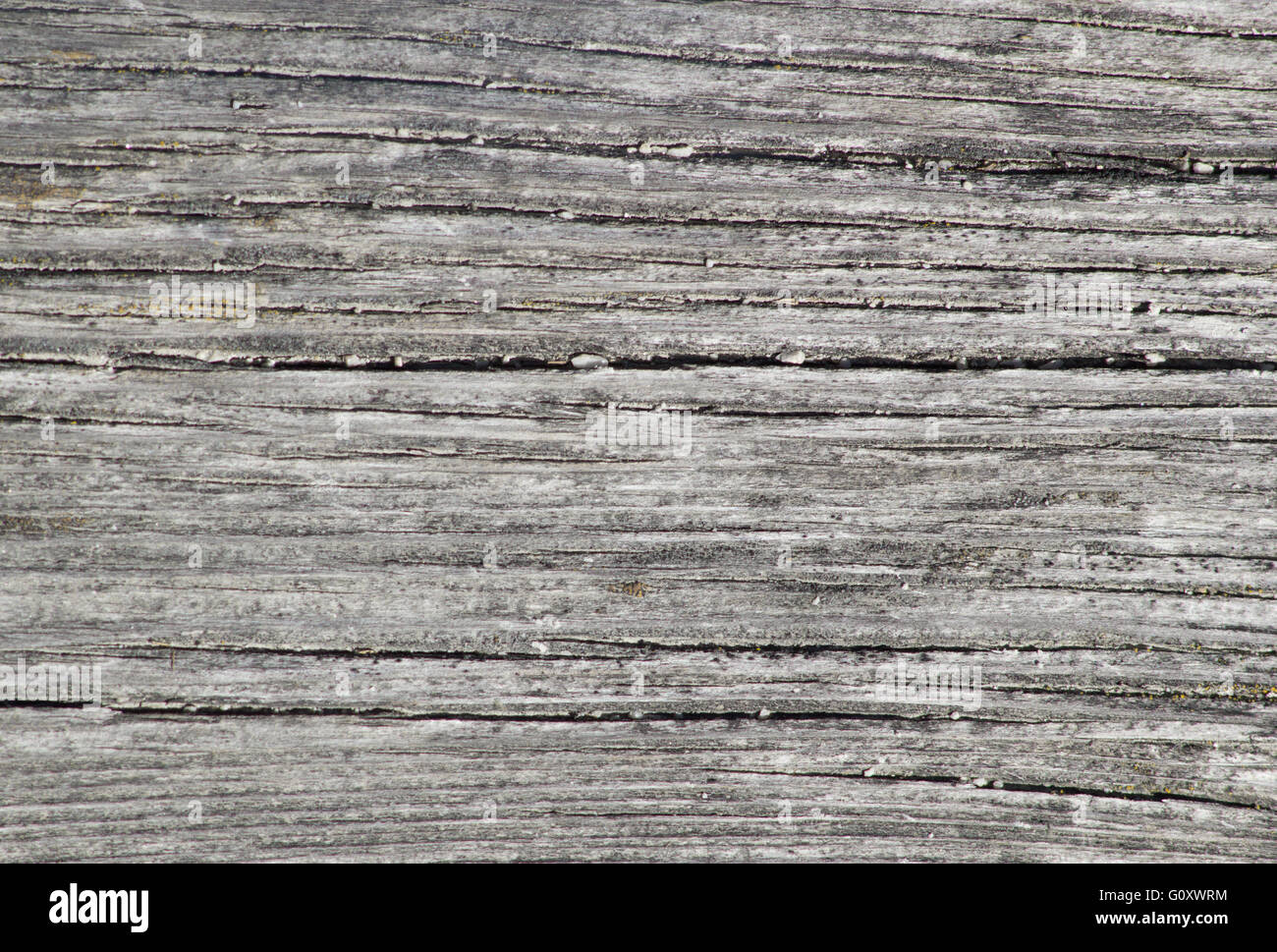 Graues Holz Textur Stockfoto