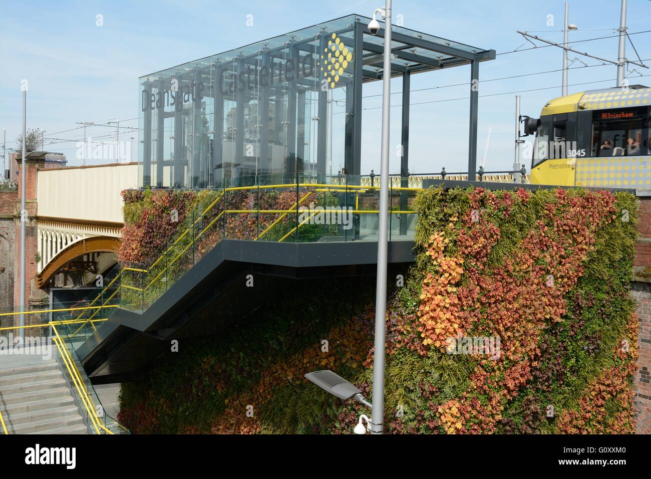 Deansgate Castlefield Straßenbahnhaltestelle Manchester. Die Wand über der Treppe den Zugang wurde schaffen eine lebendige Mauer gepflanzt. Stockfoto