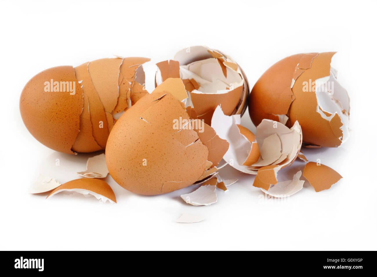 Eierschale auf weißem Hintergrund Stockfoto