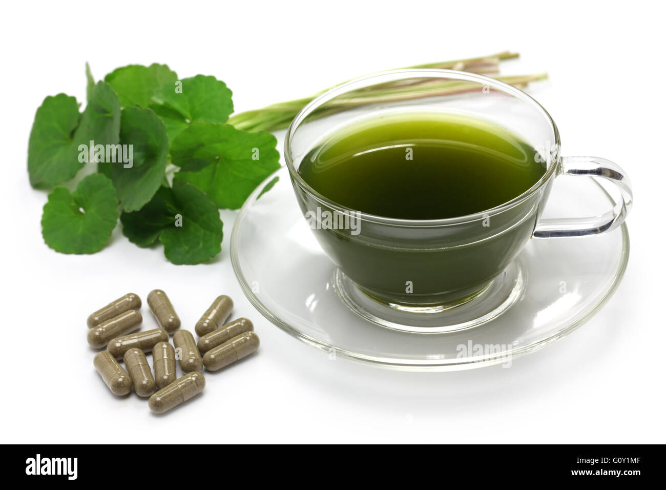 GotU Kola, asiatische Abel, Centella Asiatica, Ayurveda pflanzliches Getränk Ergänzung Stockfoto