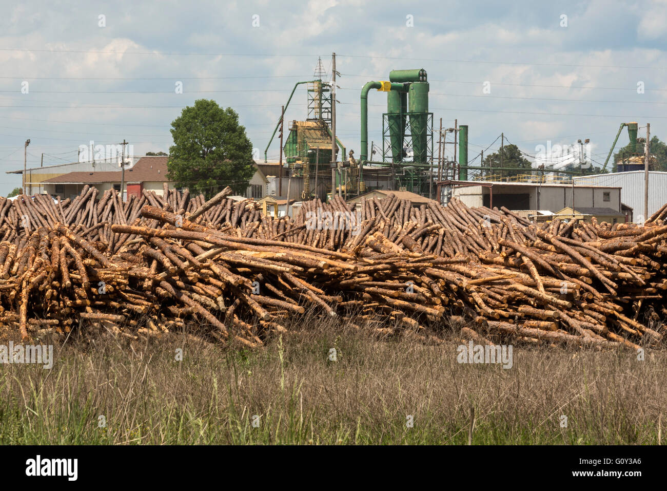 McCormick, South Carolina - A Georgia-Pacific Holzlager. Georgia-Pacific ist eine Tochtergesellschaft der Koch Industries. Stockfoto