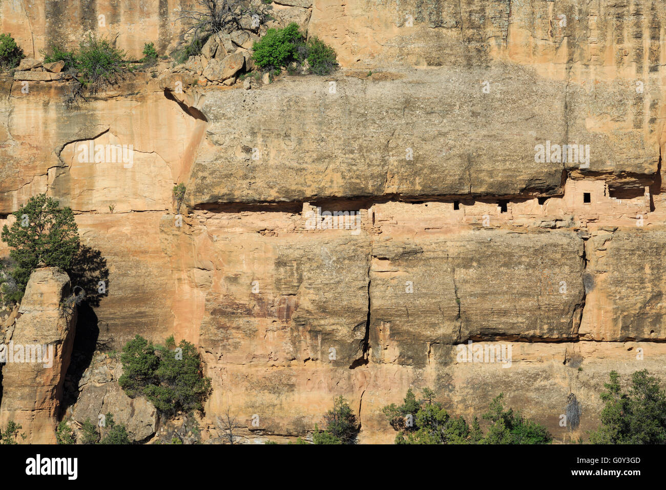 Haus der vielen Fenster Klippe Wohnung in Mesa Verde Nationalpark, colorado Stockfoto