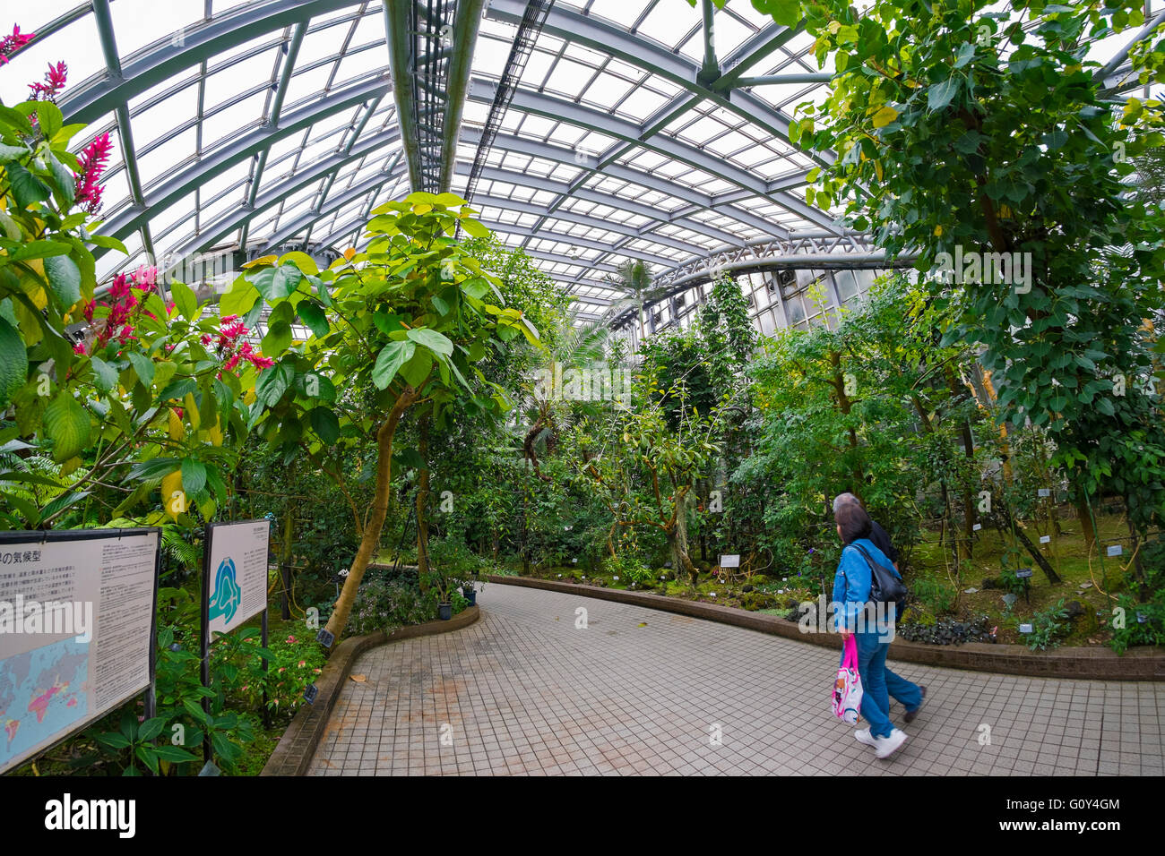 Kyoto botanischen Wintergarten, Japan Stockfoto