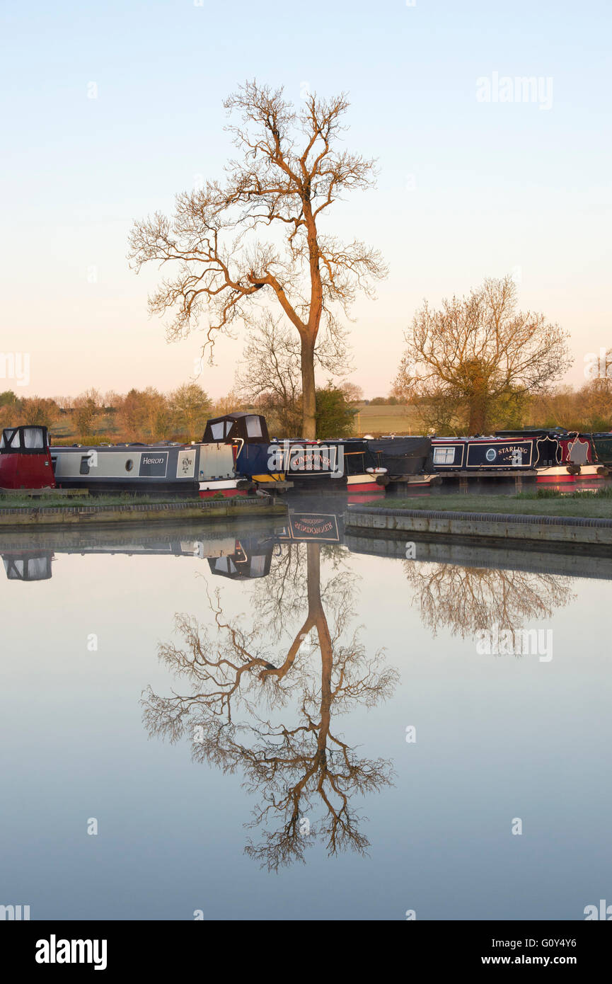 Baum und Kanal Boote im Wasser am Cropredy Marina, Oxfordshire, England Stockfoto