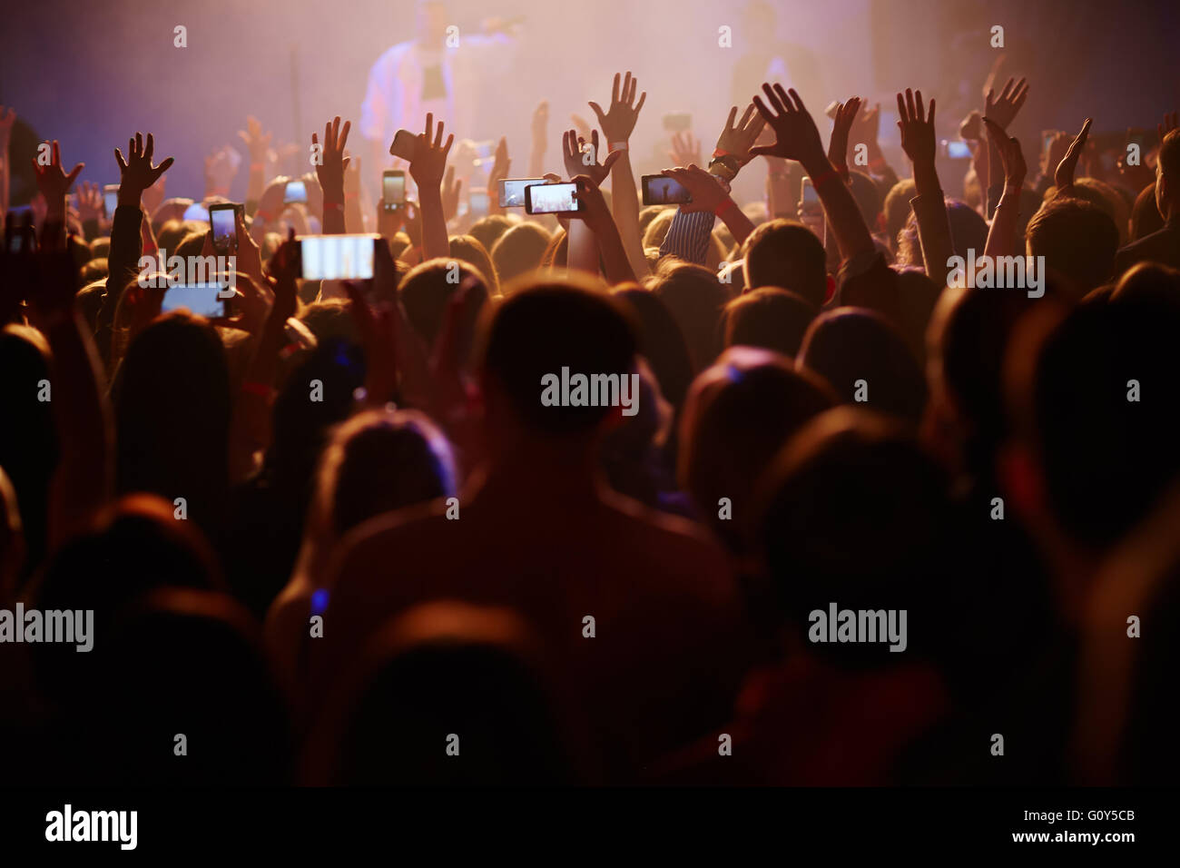 Publikum beim Konzert Stockfoto