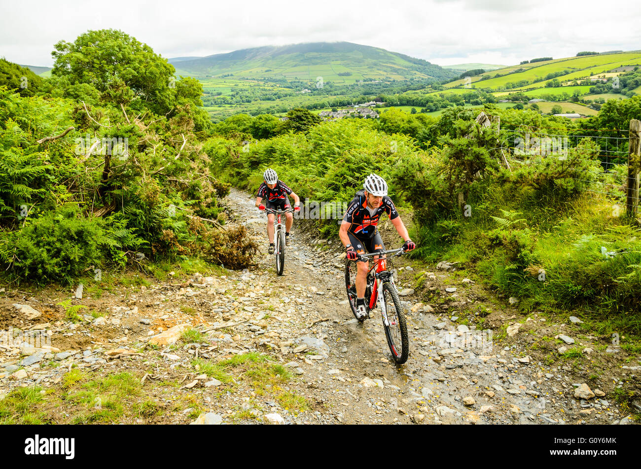 Mountainbiker auf der Steigung von Slieau Whallian auf der Isle Of Man Stockfoto