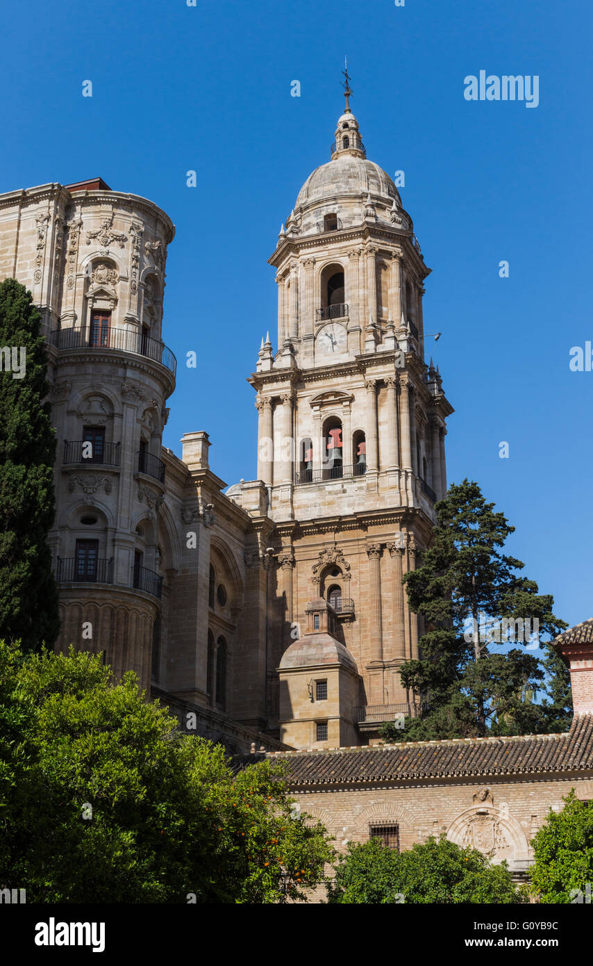 Malaga, Provinz Malaga, Costa Del Sol, Andalusien, Südspanien. Die Renaissance-Kathedrale. Stockfoto