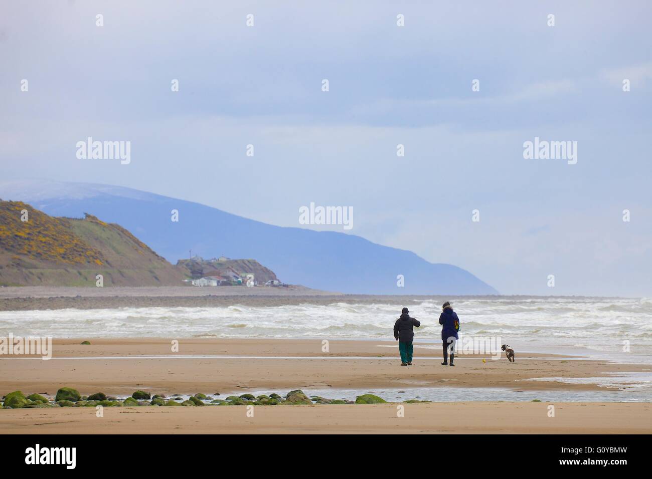 Saint Bienen. Paar, Hund am Strand spazieren gehen. Cumbria, England, Vereinigtes Königreich, Europa. Stockfoto