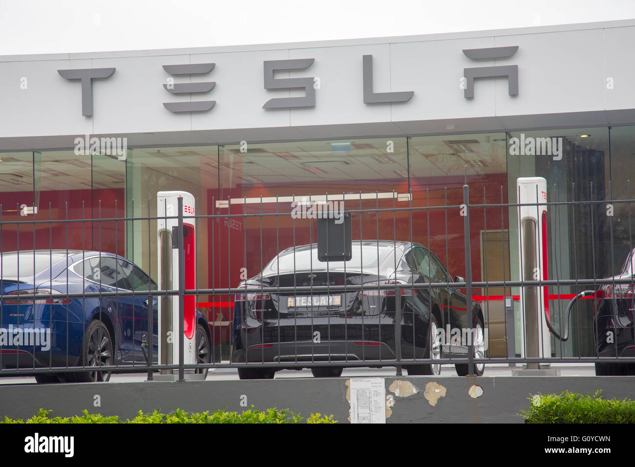 Tesla Autos Autohaus in St. Leonards, Sydney, Australien Stockfoto