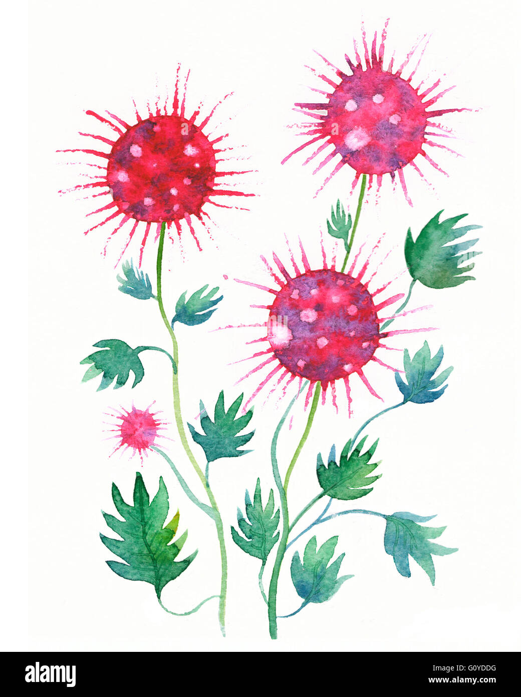 Rosa Aquarell Blumen auf weißem Hintergrund. Aquarell, einsetzbar als Grußkarte, Einladungskarte für Hochzeit, Geburtstag und Stockfoto