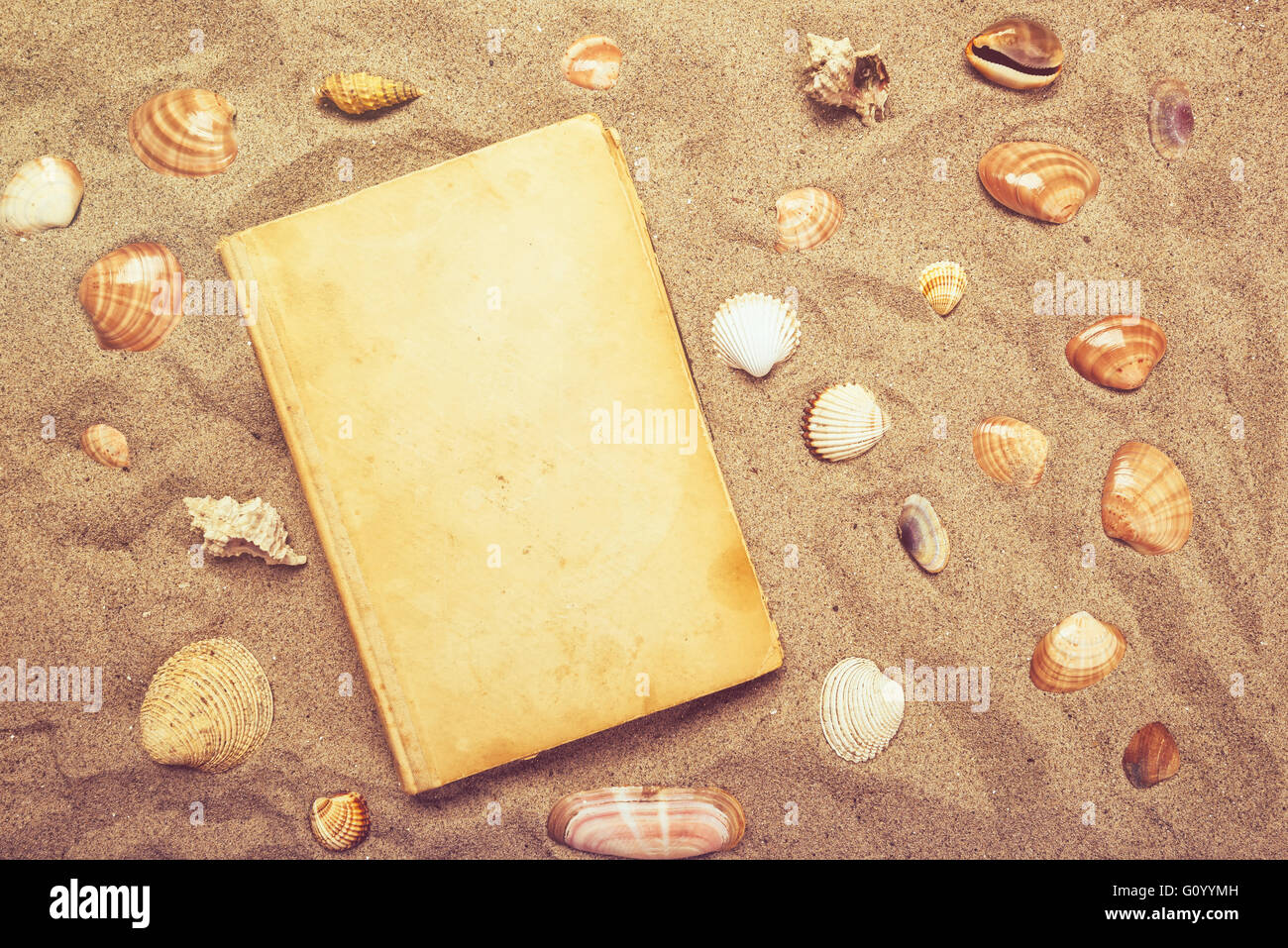 Vintage Buch und Meer Muscheln am Sandstrand, Urlaub Stimmung und Sommer-Lifestyle-Objekten in Wohnung lag Draufsicht Anordnung. Stockfoto