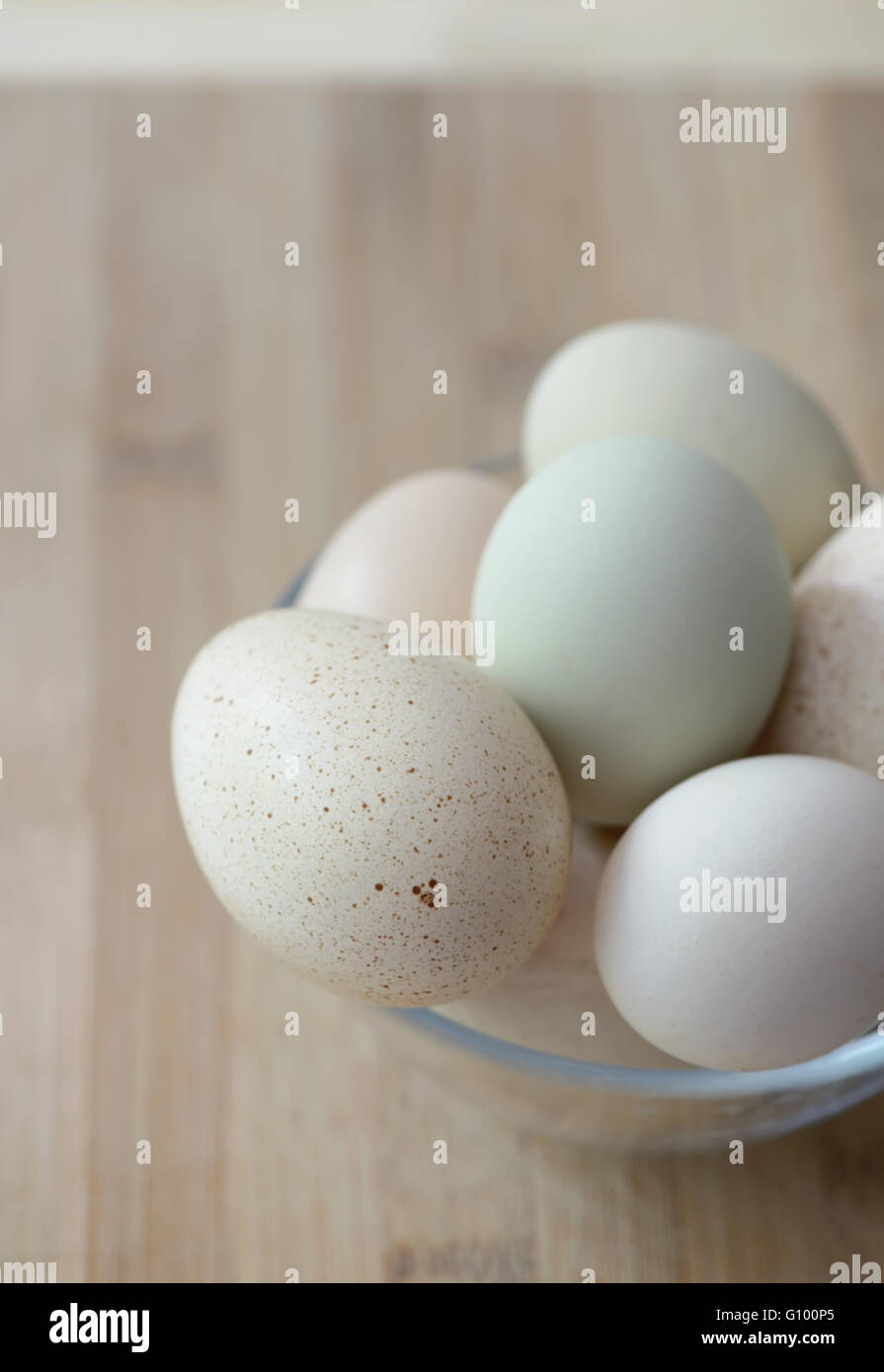 Eiern in verschiedenen Farben und Größen Stockfoto
