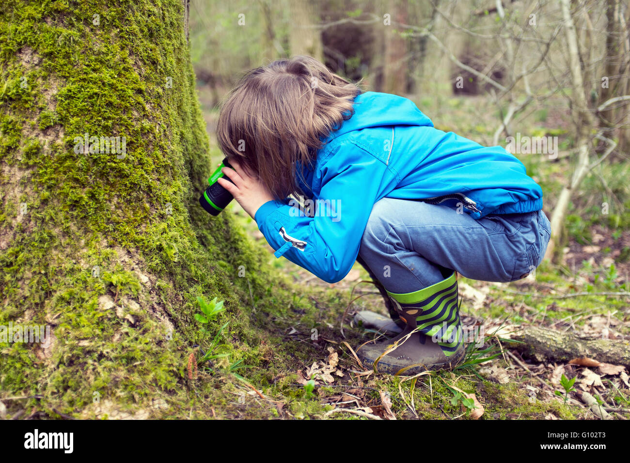 Kleiner Junge erkunden den Wald Stockfoto