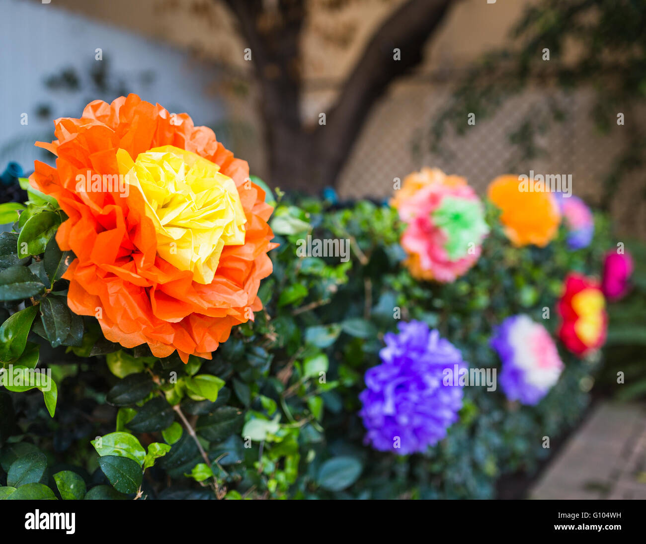 Hochzeitsfotografie - Blumen Stockfoto