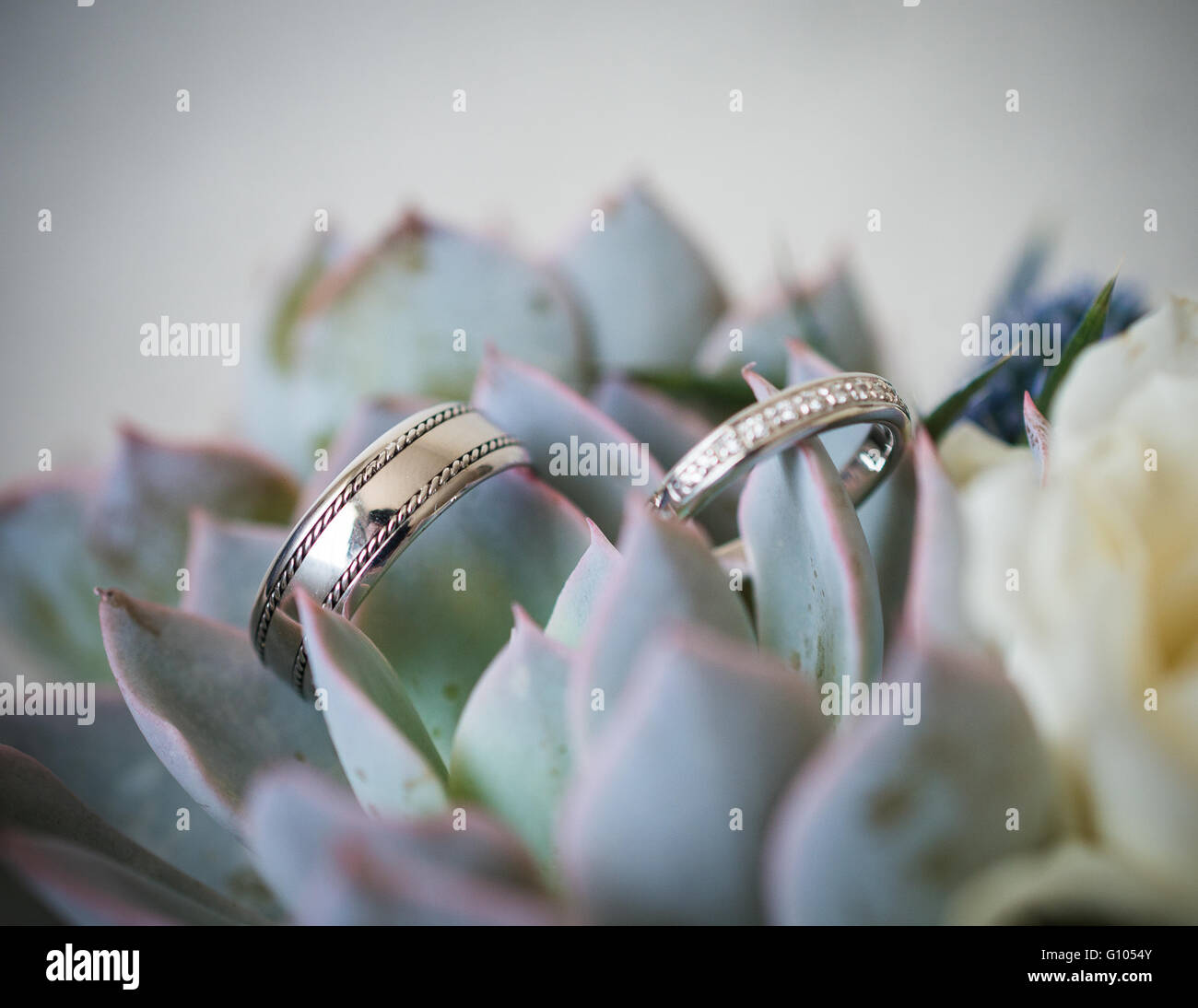 Hochzeitsfotografie - Ringe Stockfoto