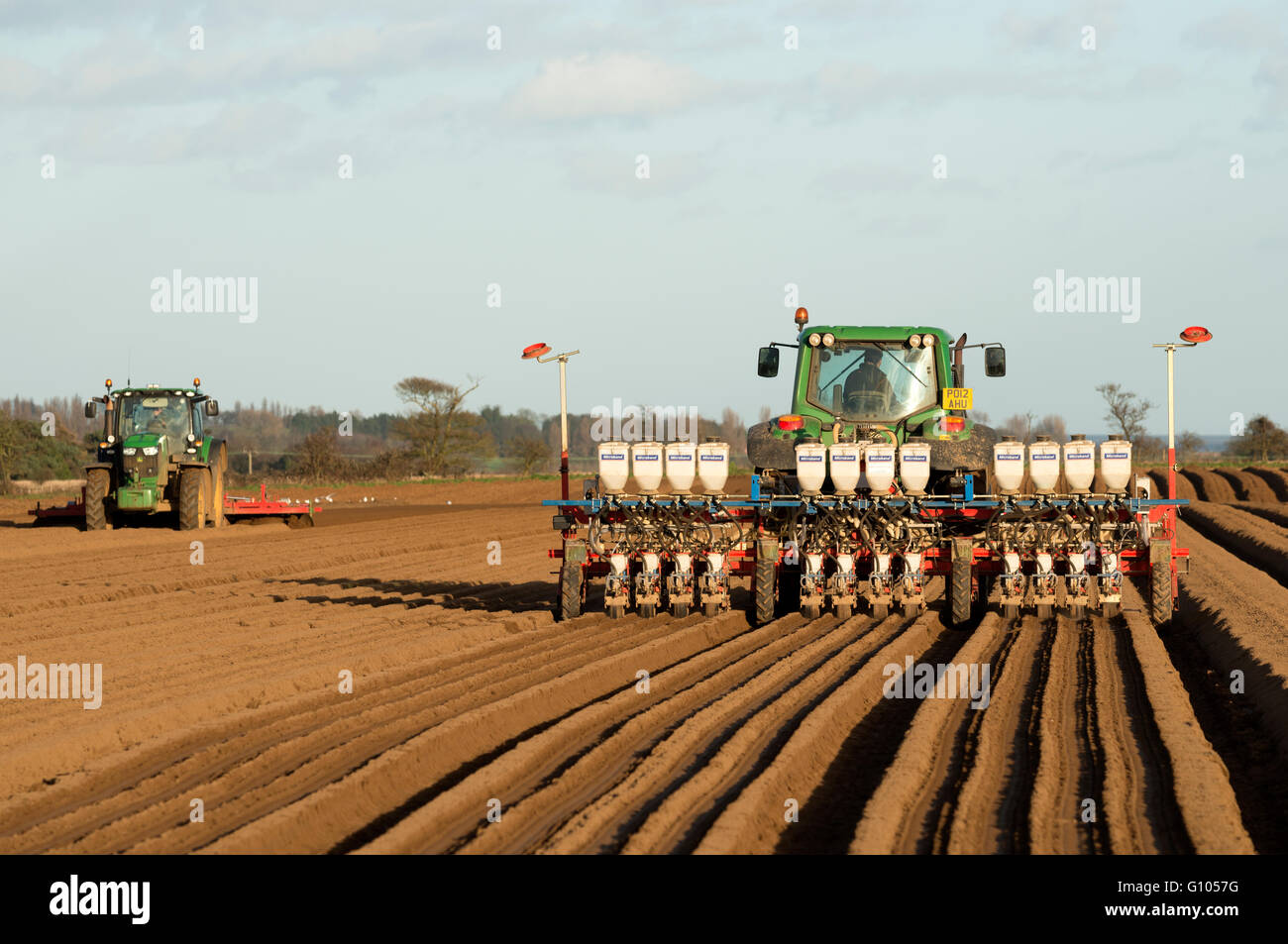 Drillmaschine Bepflanzung Karotten Alderton Suffolk UK Stockfoto