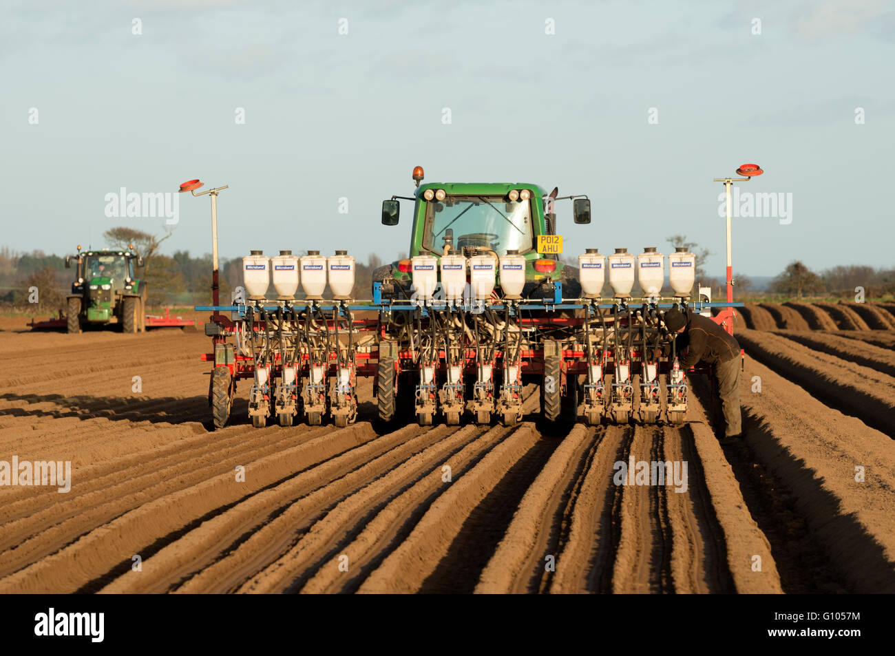 Drillmaschine Bepflanzung Karotten Alderton Suffolk UK Stockfoto