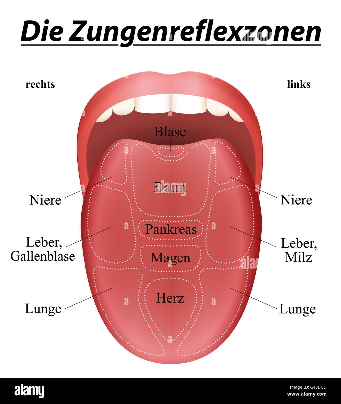 Tongue Auf Deutsch