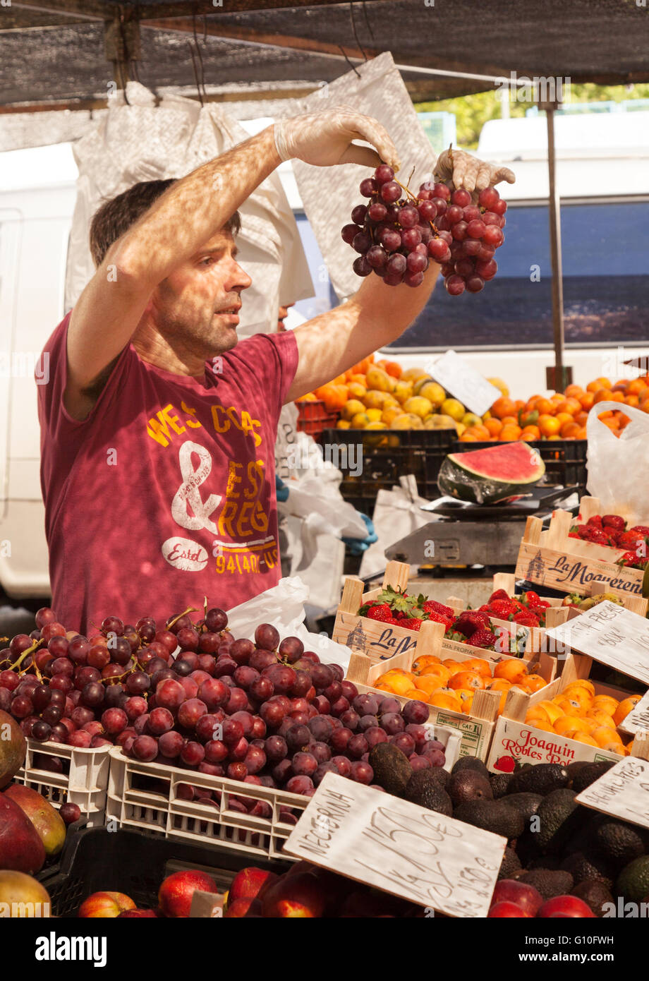 Markt Standinhaber in Marbella Markt, Verkauf von Trauben, Marbella Outdoor-Lebensmittelmarkt, Andalusien Spanien Europa Stockfoto