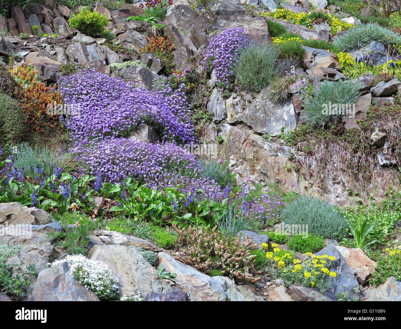 Steingarten mit verschiedenen Blumen Stockfoto