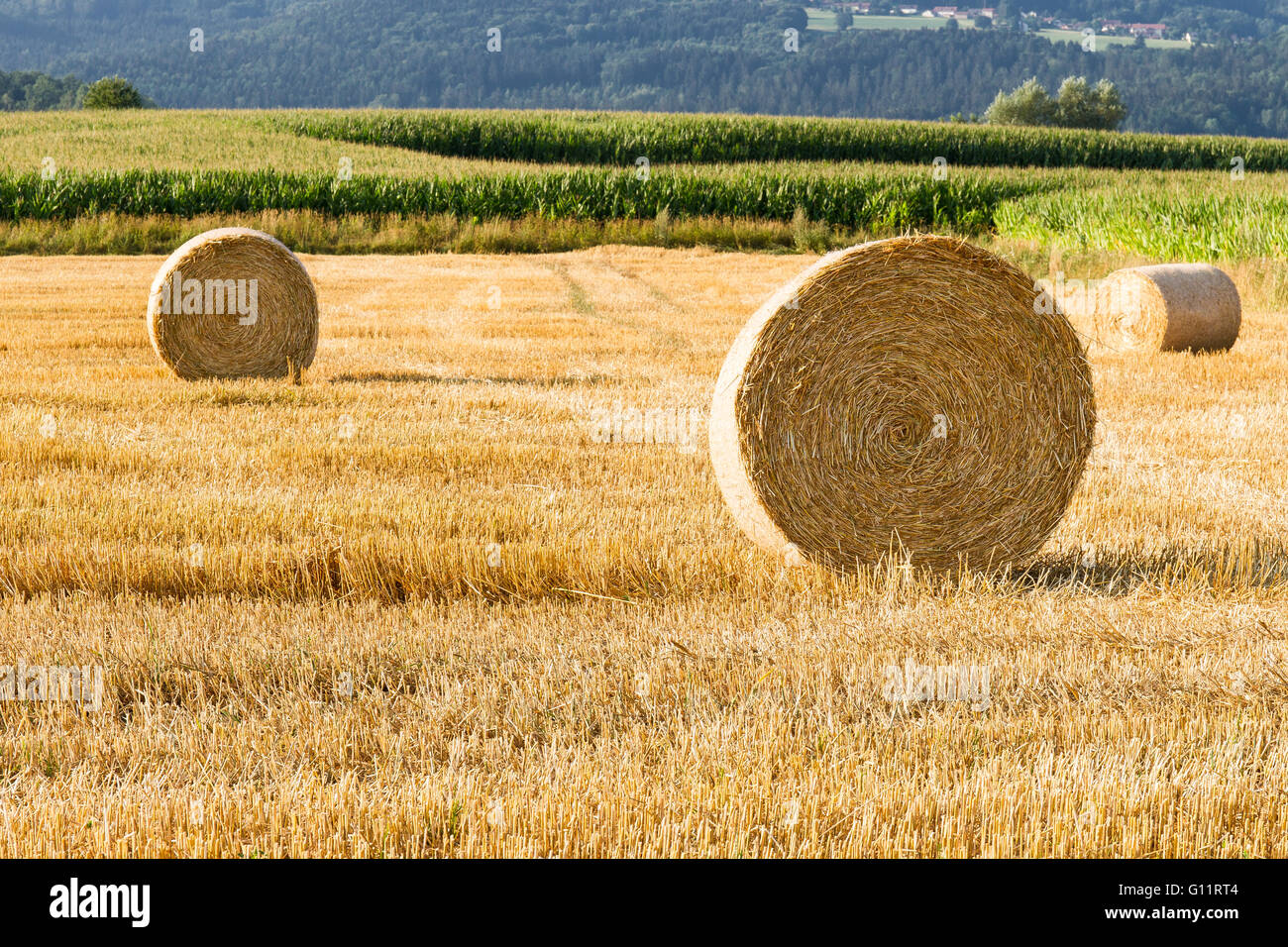 Strohballen auf einem Feld in der Nähe von Waldmünchen, Bayern, Deutschland Stockfoto