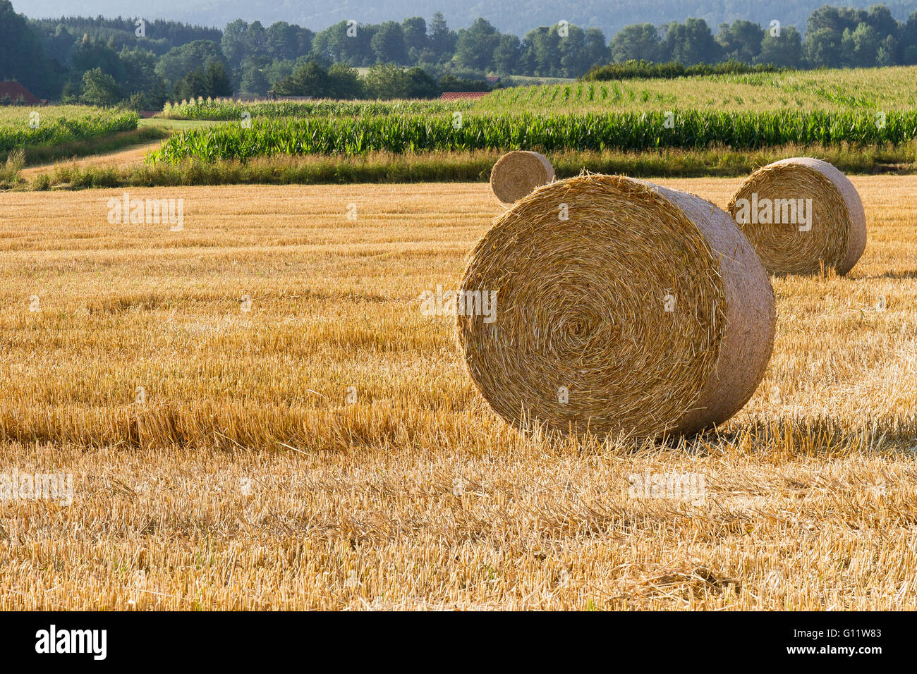 Strohballen auf einem Feld in der Nähe von Waldmünchen, Bayern, Deutschland Stockfoto