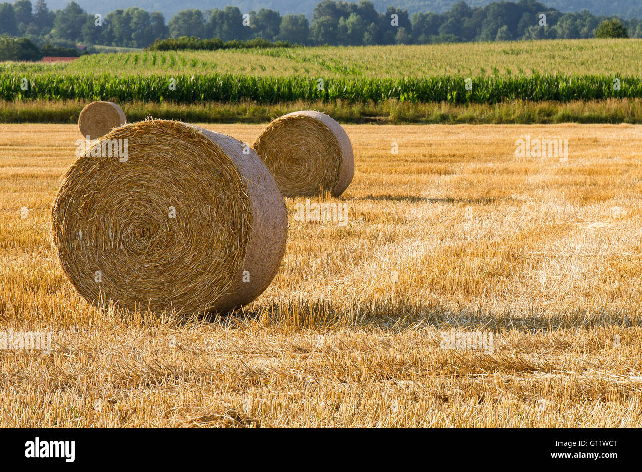 Strohballen auf einem Feld in der Nähe von Waldmünchen, Bayern, Deutschland Stockfoto