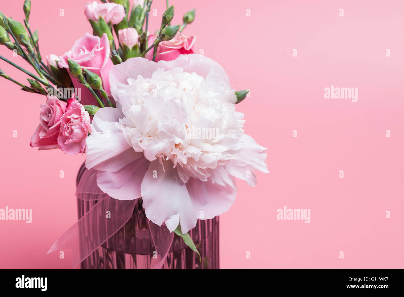 Nelke mit rosa Rosen und rosa Pfingstrose auf Flasche mit rosa Hintergrund Stockfoto