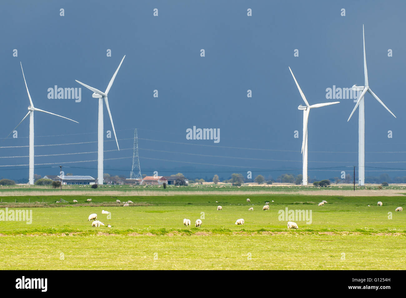 Der kleine Cheyne Gericht Windpark ist liegt 7 Kilometer (4,3 Meilen) westlich von Lydd auf Romney Marsh. Es wurde von Npower gebaut. Stockfoto