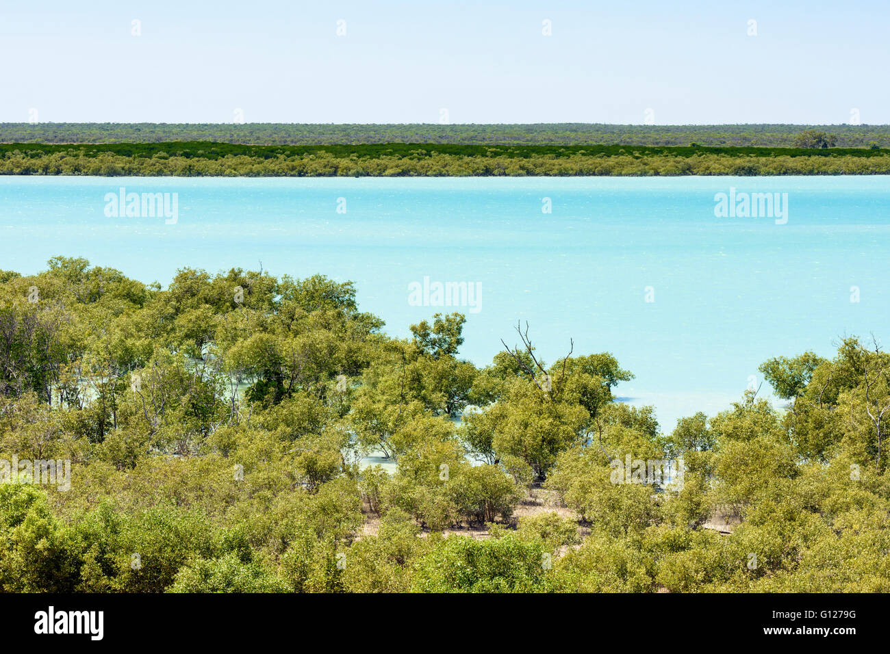 Die Mangroven Lebensraum der Roebuck Bay, Broome, Kimberley, Western Australia, Australien Stockfoto