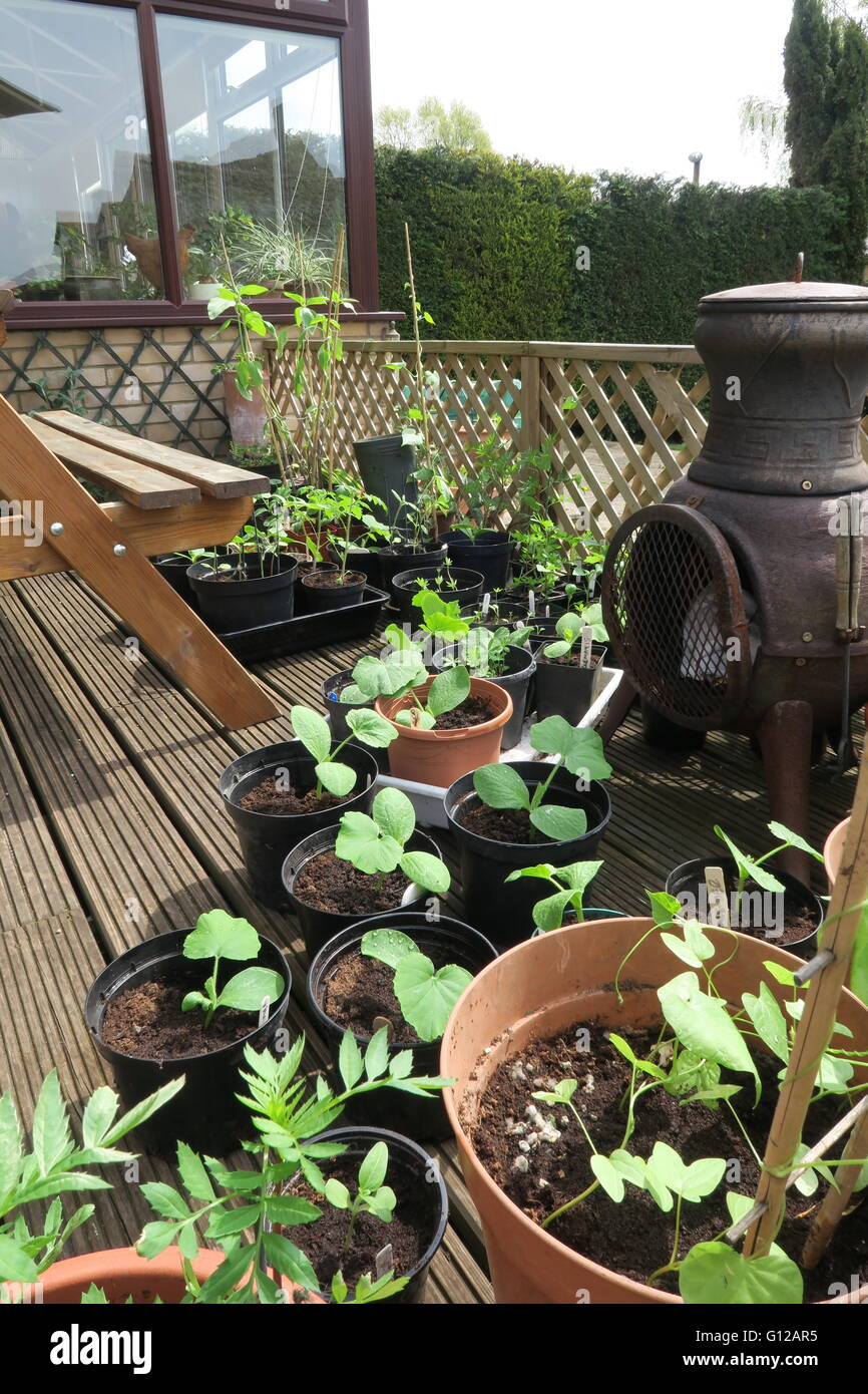 Härten ab Stockfoto