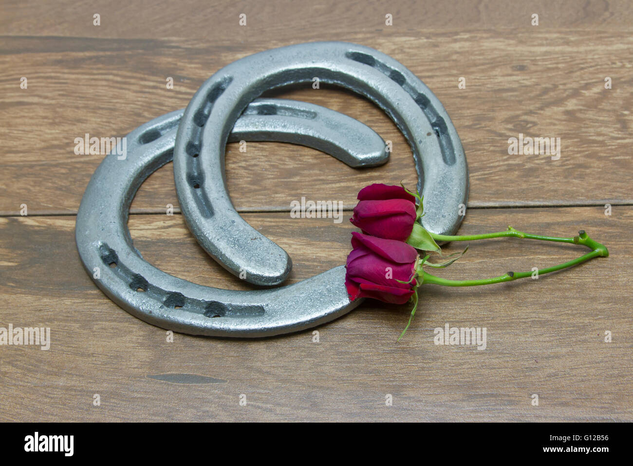 Silberne Hufeisen auf Scheune Holz Hintergrund mit roten Rosen. Stockfoto