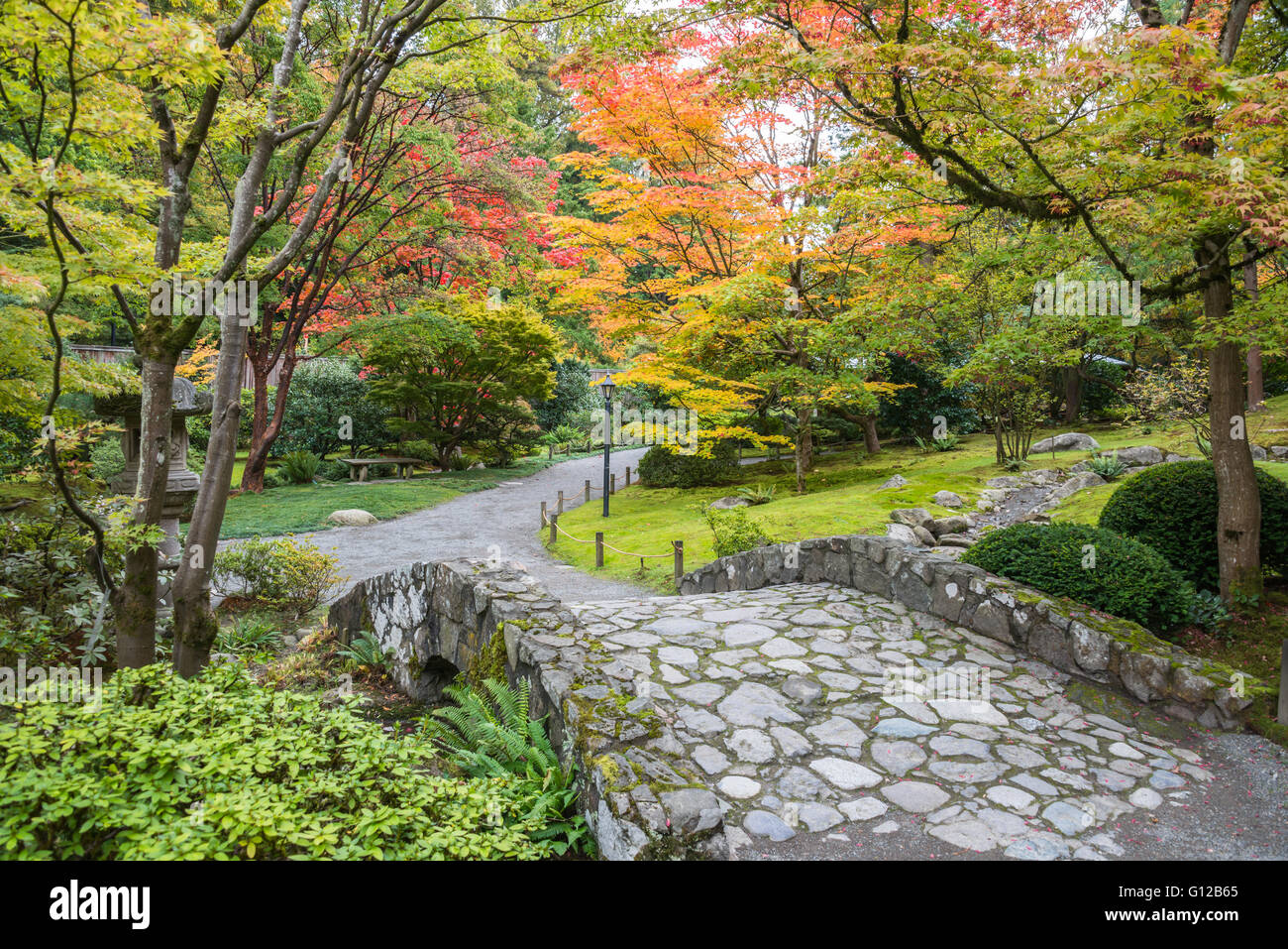 Steinerne Brücke und Falllaub in Seattle Japanese Garden Stockfoto