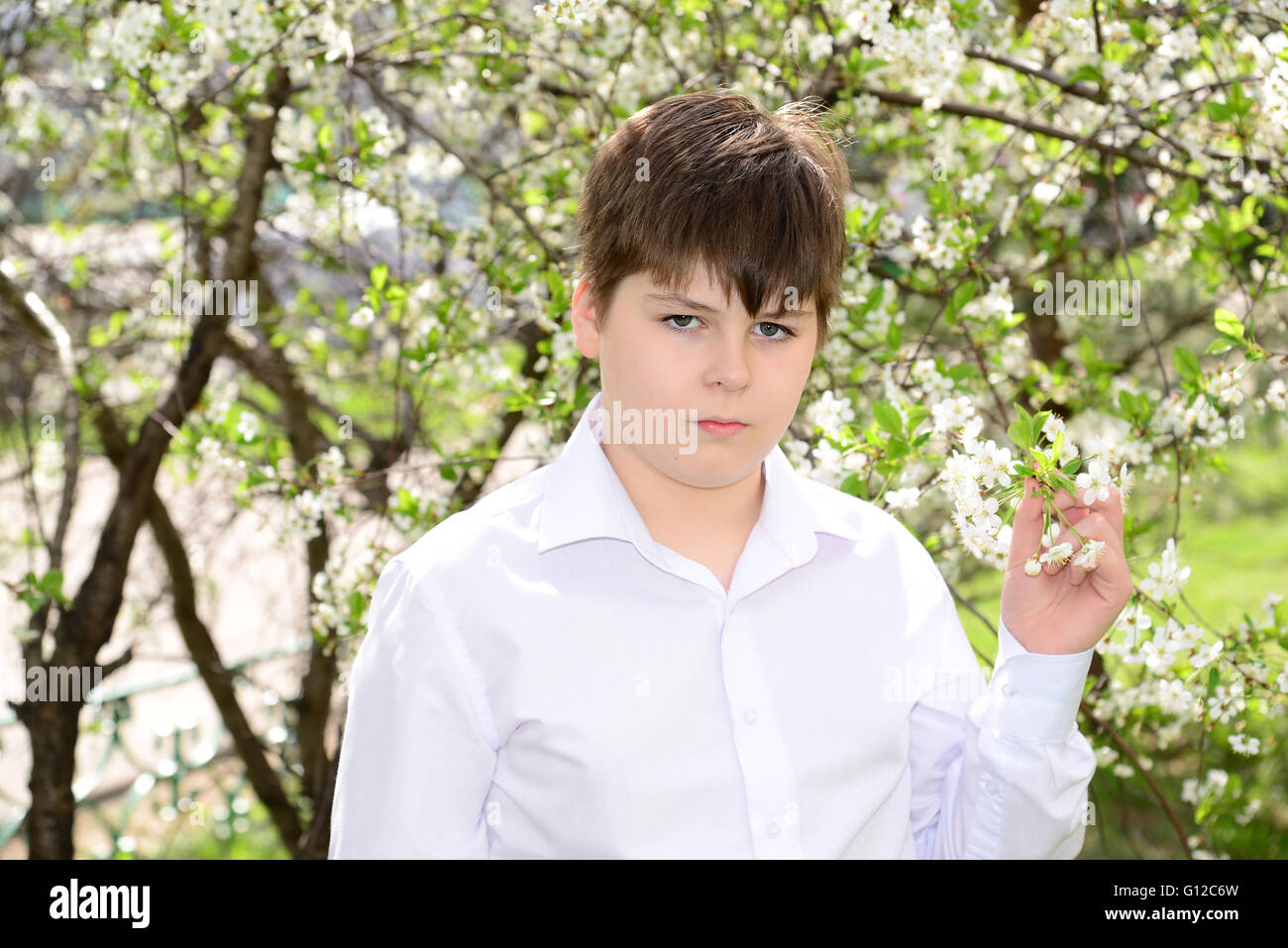 Porträt eines jungen Teenagers auf einem Hintergrund von blühende Kirschen Stockfoto