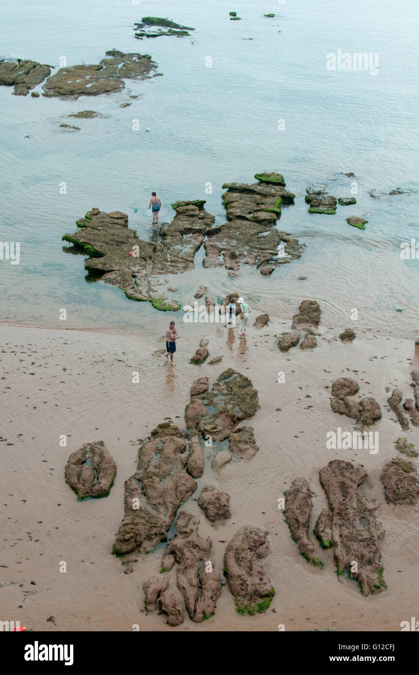 Strand und Felsen Stockfoto