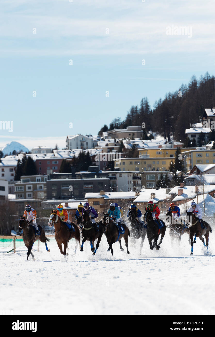 Europa, Schweiz, Graubünden, Engadin St. Moritz im Winter White Turf internationale Pferderennen Stockfoto