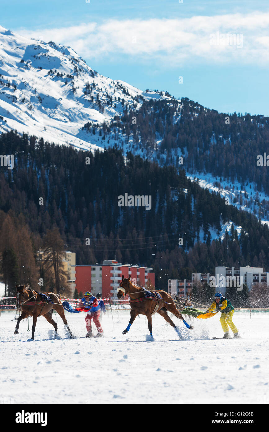 Europa, Schweiz, Graubünden, Engadin St. Moritz im Winter, White Turf internationale Pferderennen, Skijöring-event Stockfoto