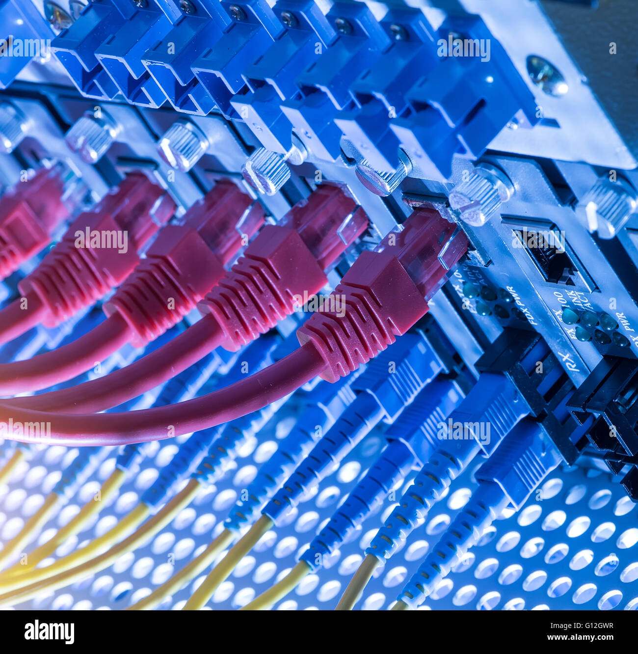 Faser-Optik-Servern und Hardwares in einem Internet-Rechenzentrum Stockfoto
