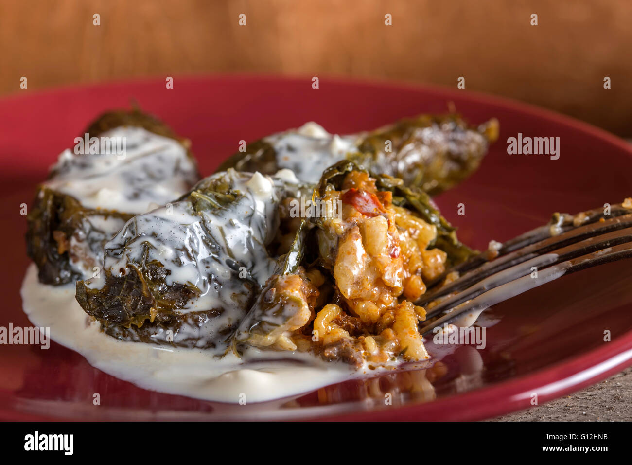 Kohlrouladen in Weinblätter mit saurer Sahne auf einer roten Platte Stockfoto