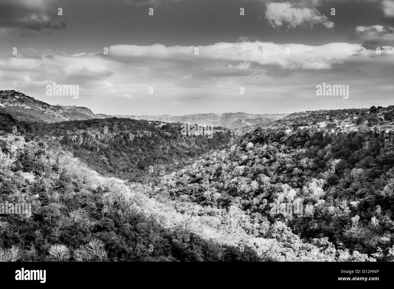 Tal neben uMzinyathi Wasserfall Stockfoto