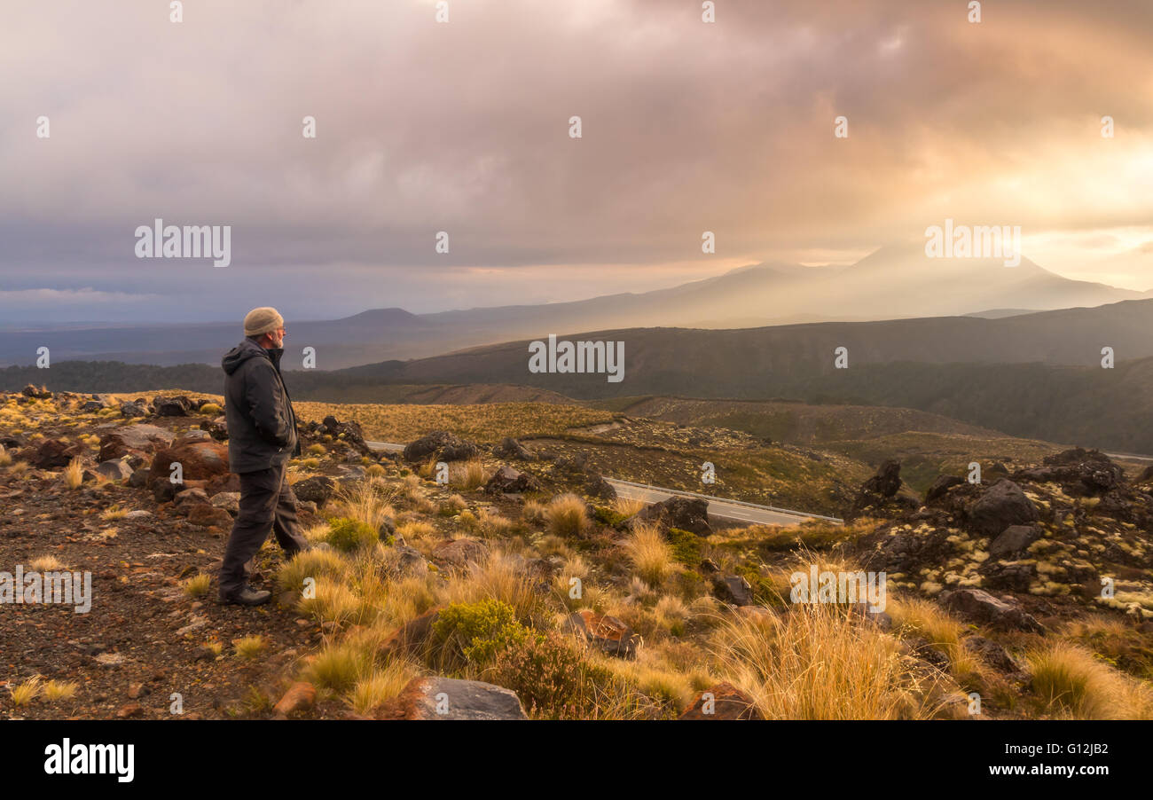 Senior Wanderer suchen, bewundern die Alpenblick im Sommer Stockfoto