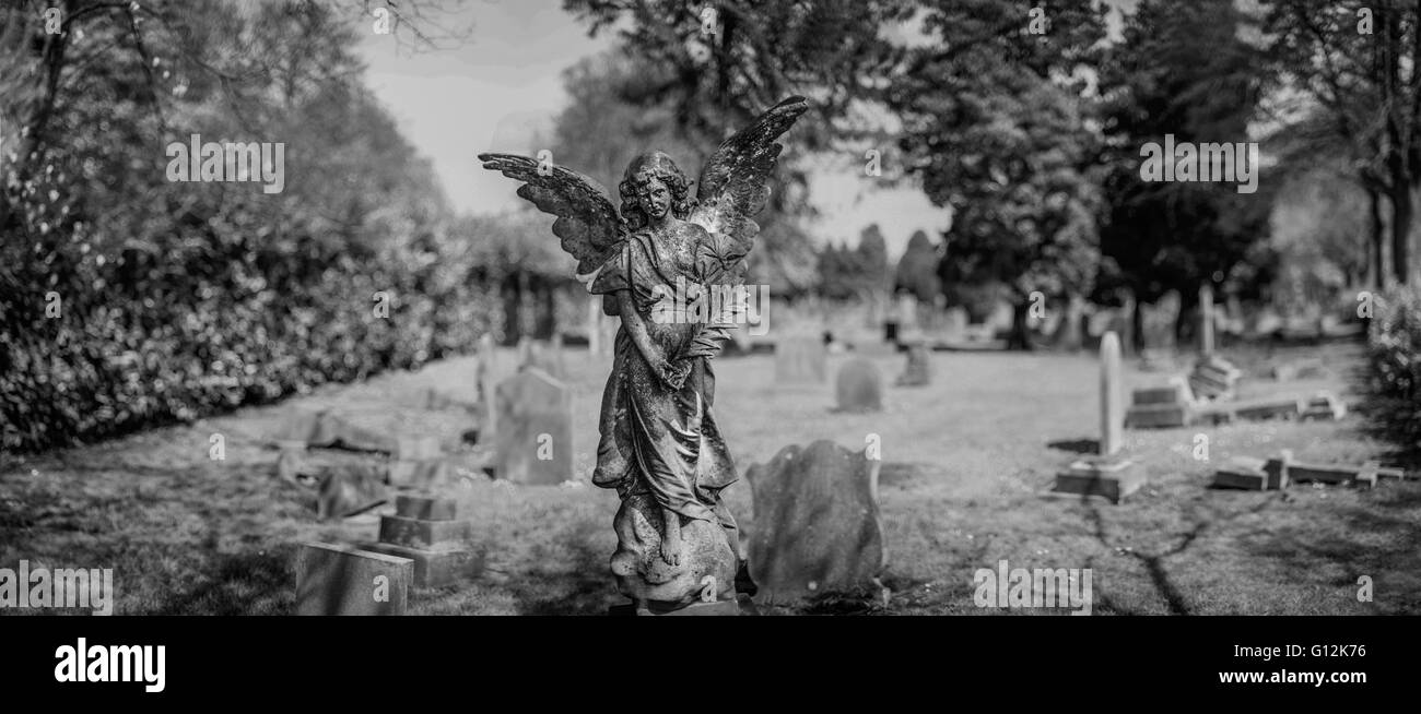 dem alten Friedhof im Wald mit dem Close Up der Engel Stein Skulptur Stockfoto