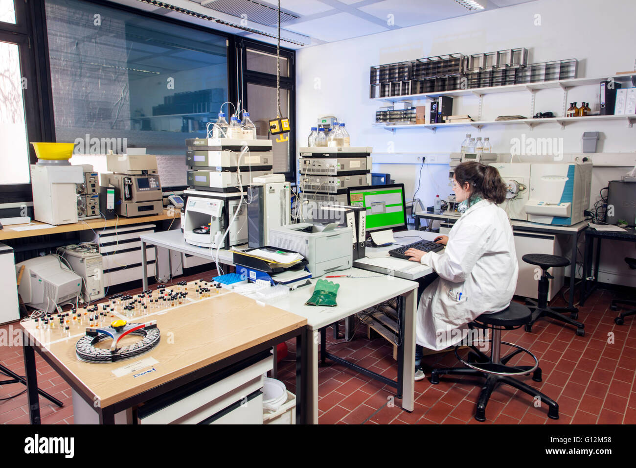 Wissenschaftlicher Mitarbeiter im Labor am Computer am Institut für Pharmazeutische Biologie und Biotechnologie. Stockfoto